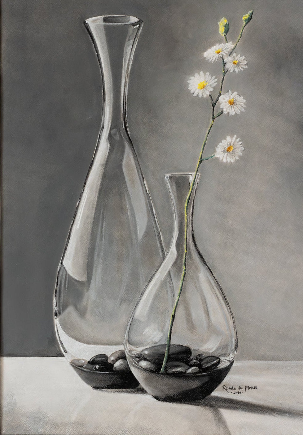Two glass vases with stones and flowers on a gray background