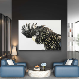 Canvas - Black Cockatoo