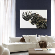 Canvas - Mr Casanova