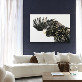 Canvas - Black Cockatoo