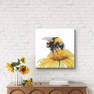Canvas - Sunny Bumble