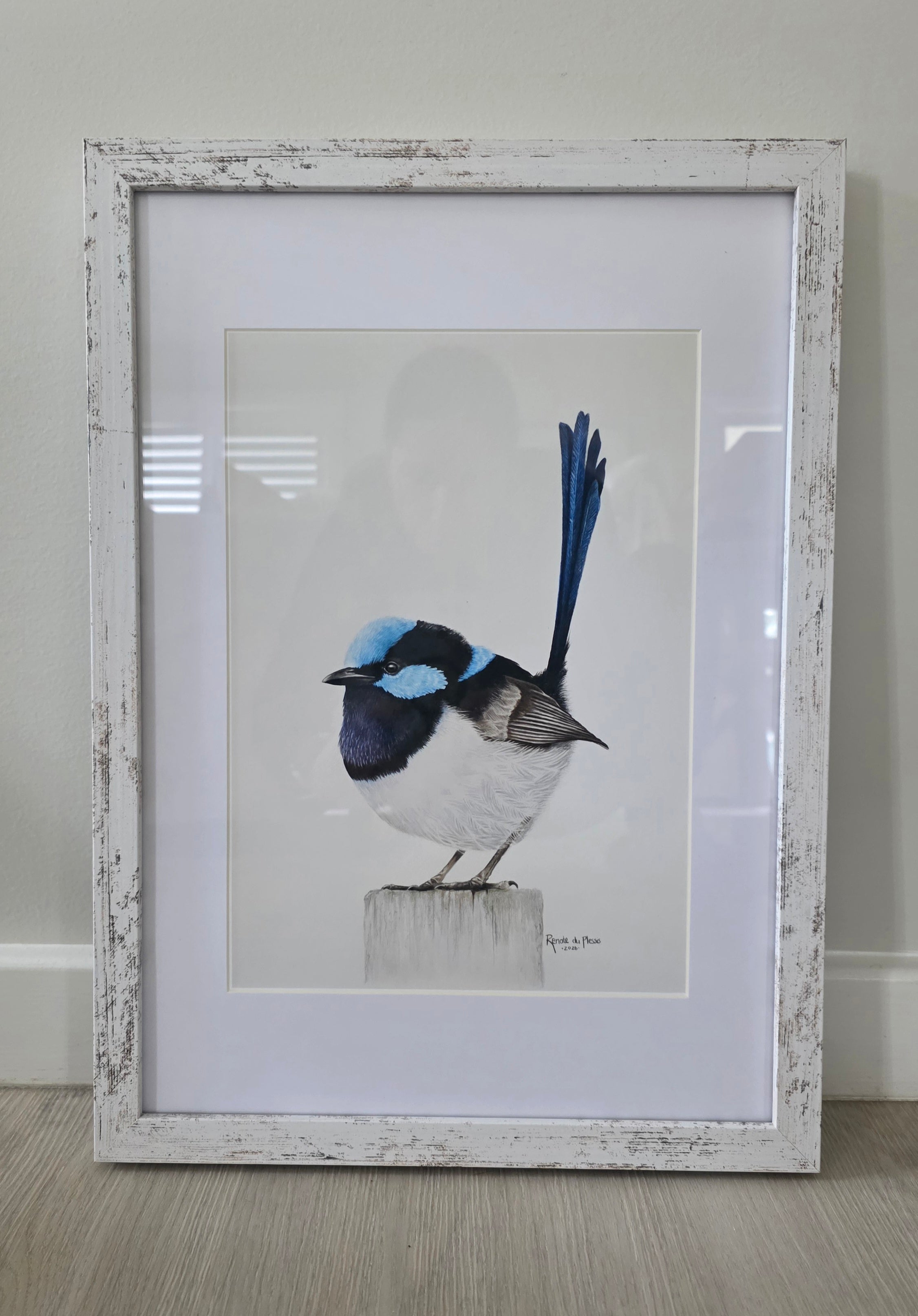 Sapphire Splendour
