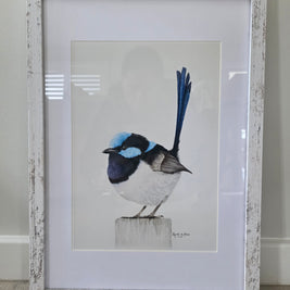 Sapphire Splendour