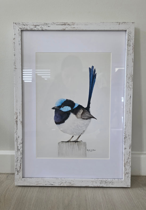 Sapphire Splendour