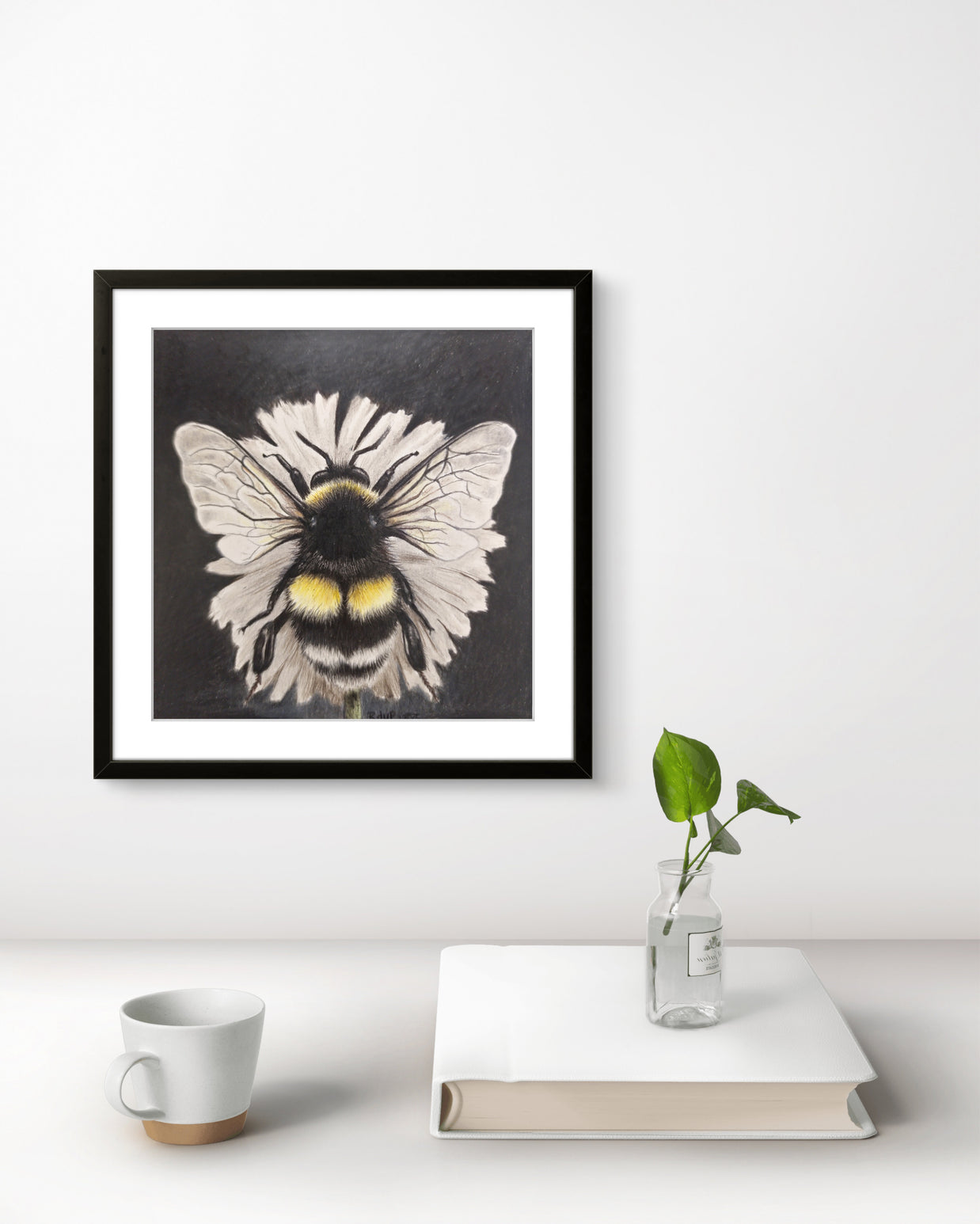 The Collector - SOLD