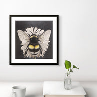 The Collector - SOLD