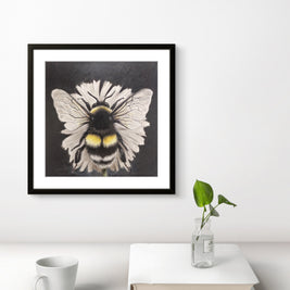 The Collector - SOLD