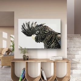 Canvas - Black Cockatoo