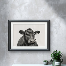 Black Angus Steer 007 - Limited Edition