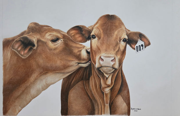 A Little Moo- ment - ON EXIBITION