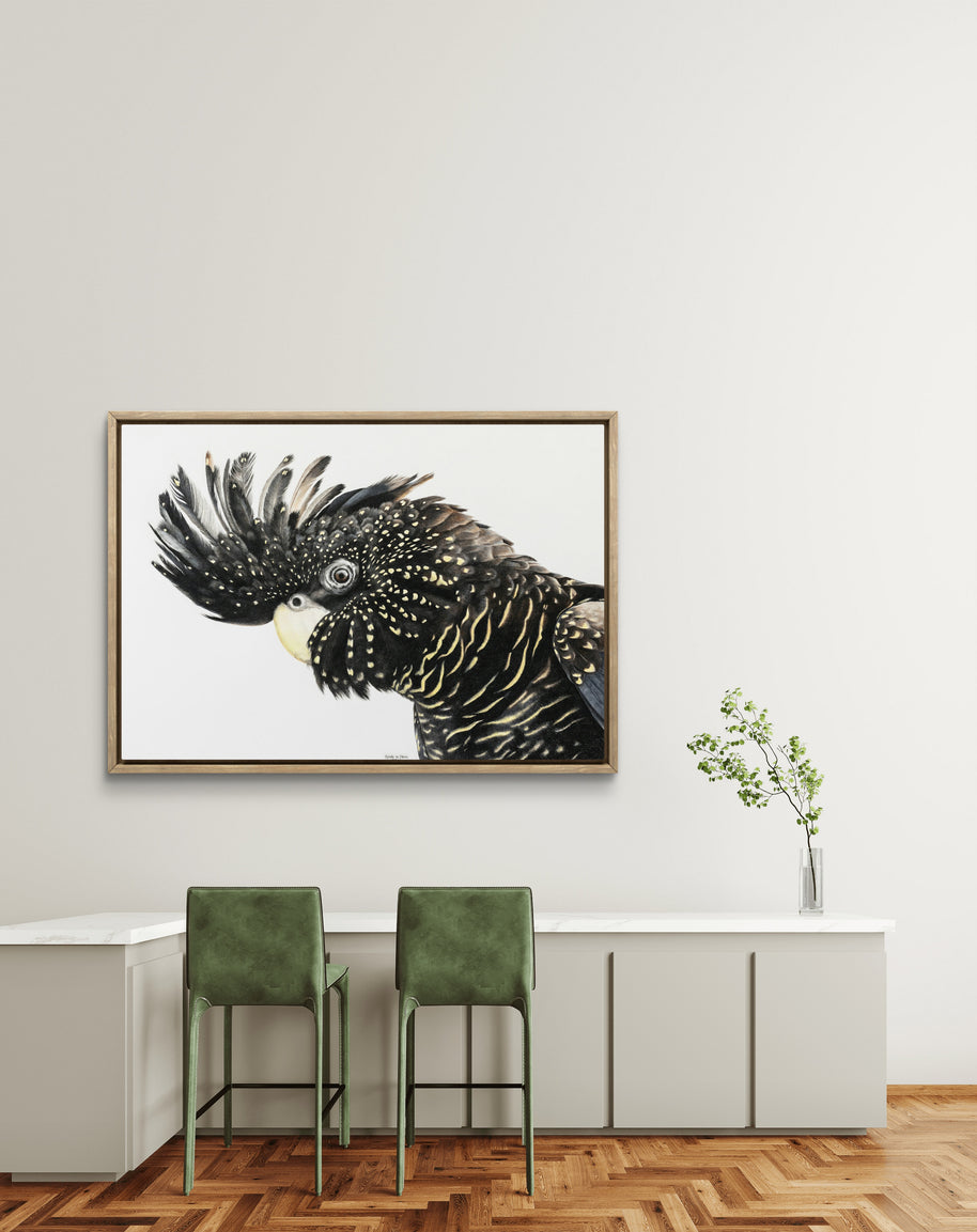 Framed canvas - Mr Casanova