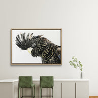 Framed canvas - Mr Casanova