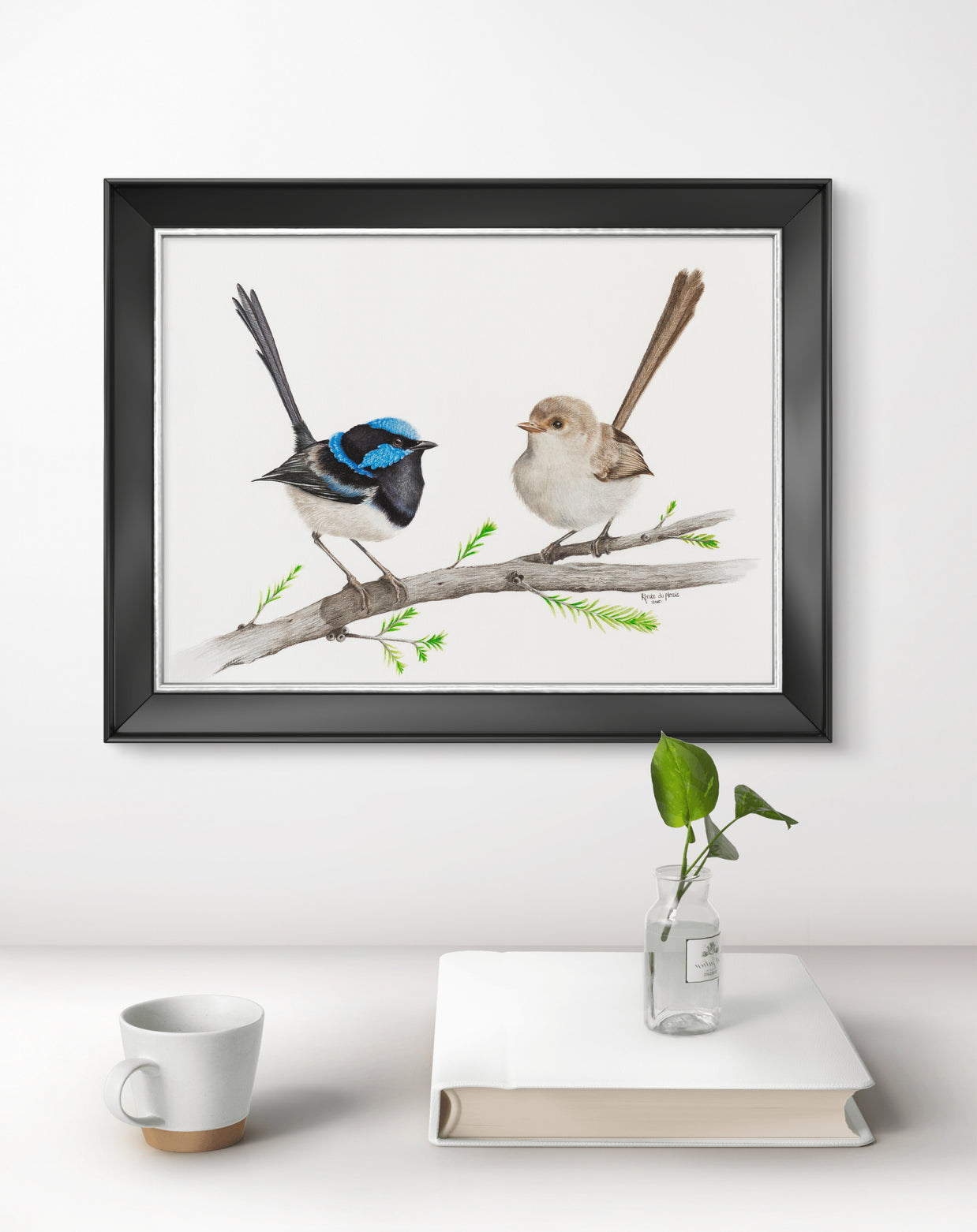 Romeo & Juliet Superb Fairy Wren Pair - Limited Edition