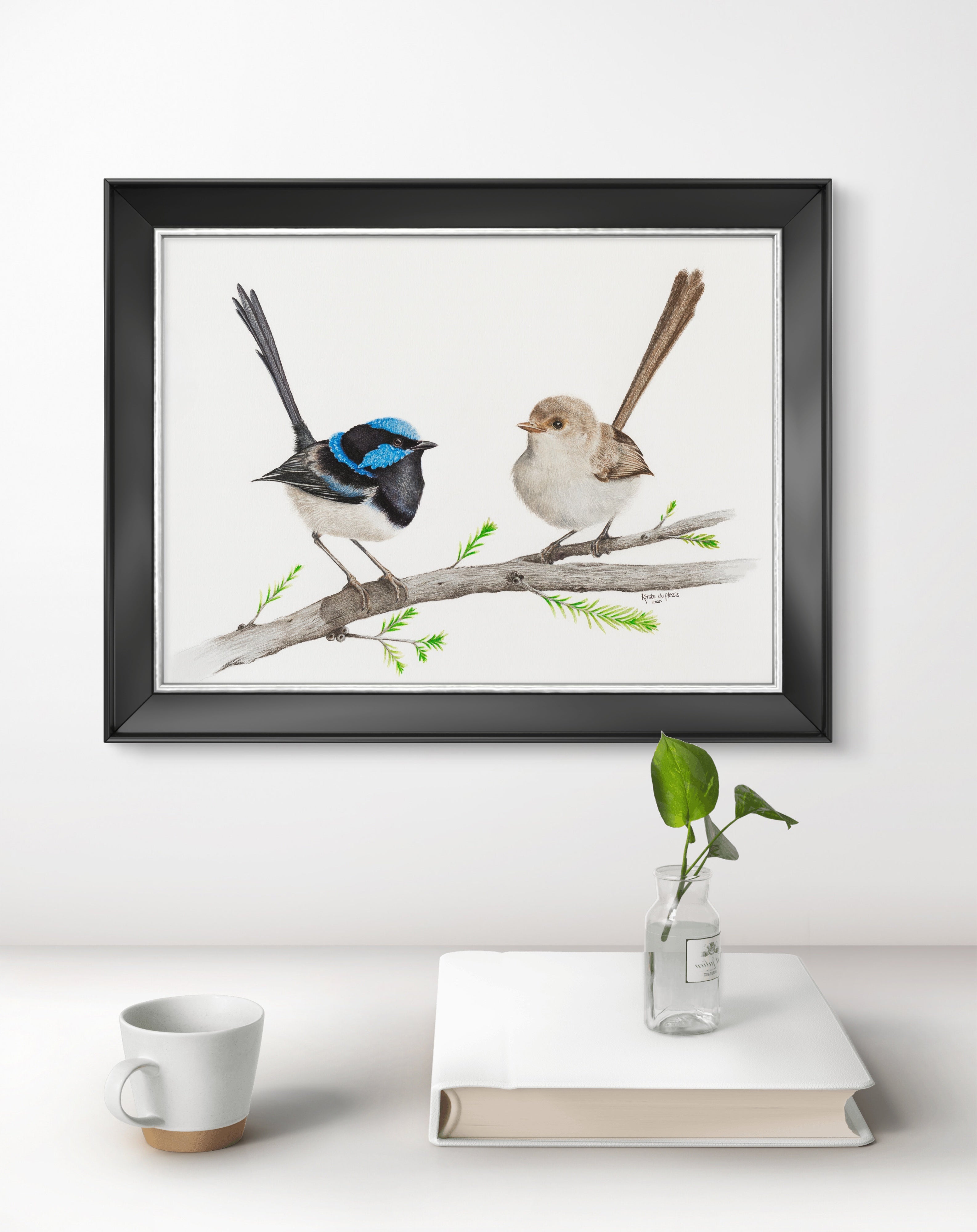 Romeo & Juliet Superb Fairy Wren Pair - Limited Edition