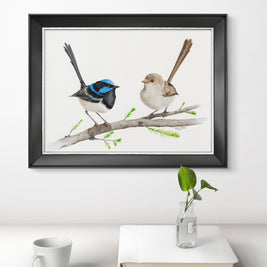 Romeo & Juliet Superb Fairy Wren Pair - Limited Edition